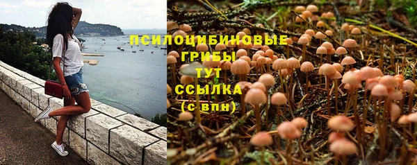 прущие крисы Алексеевка