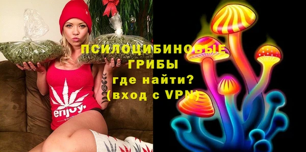 прущие крисы Алексеевка
