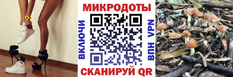 Псилоцибиновые грибы прущие грибы  Южно-Сахалинск 